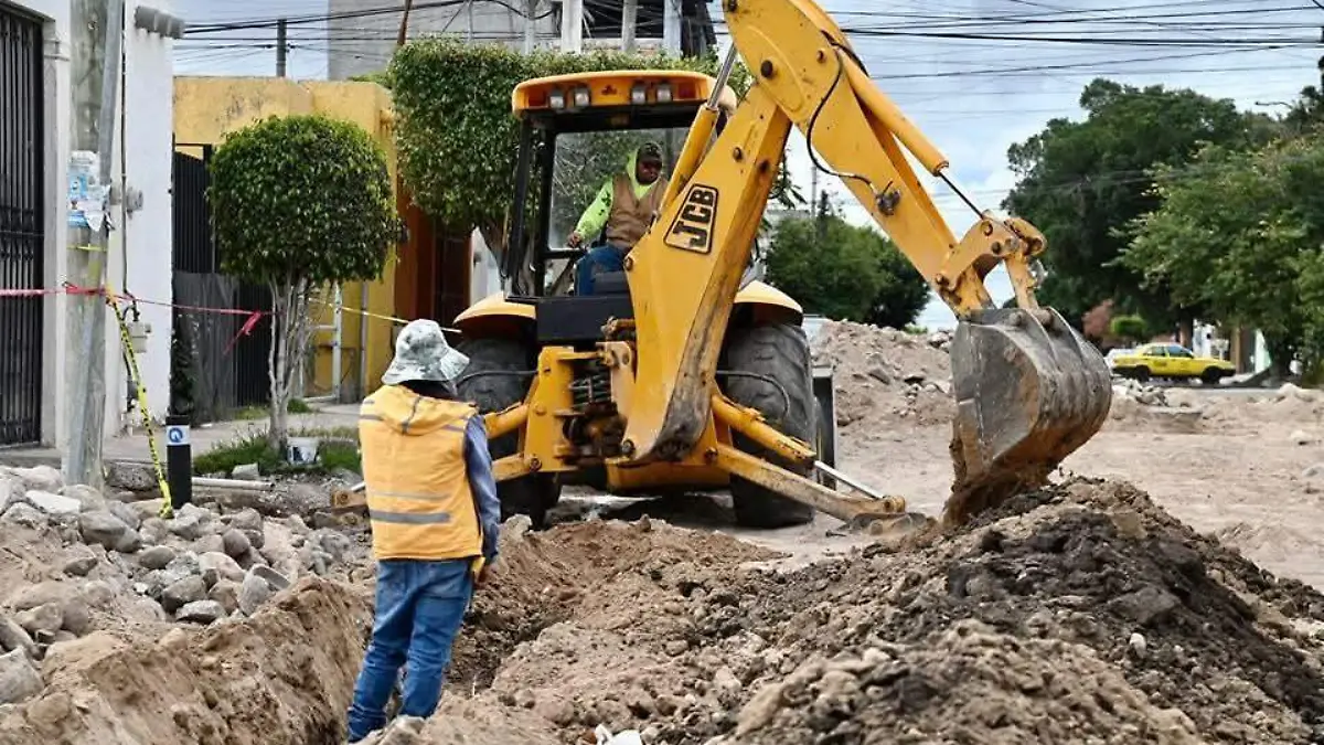 web foto sin agua